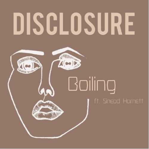 Disclosure перевод